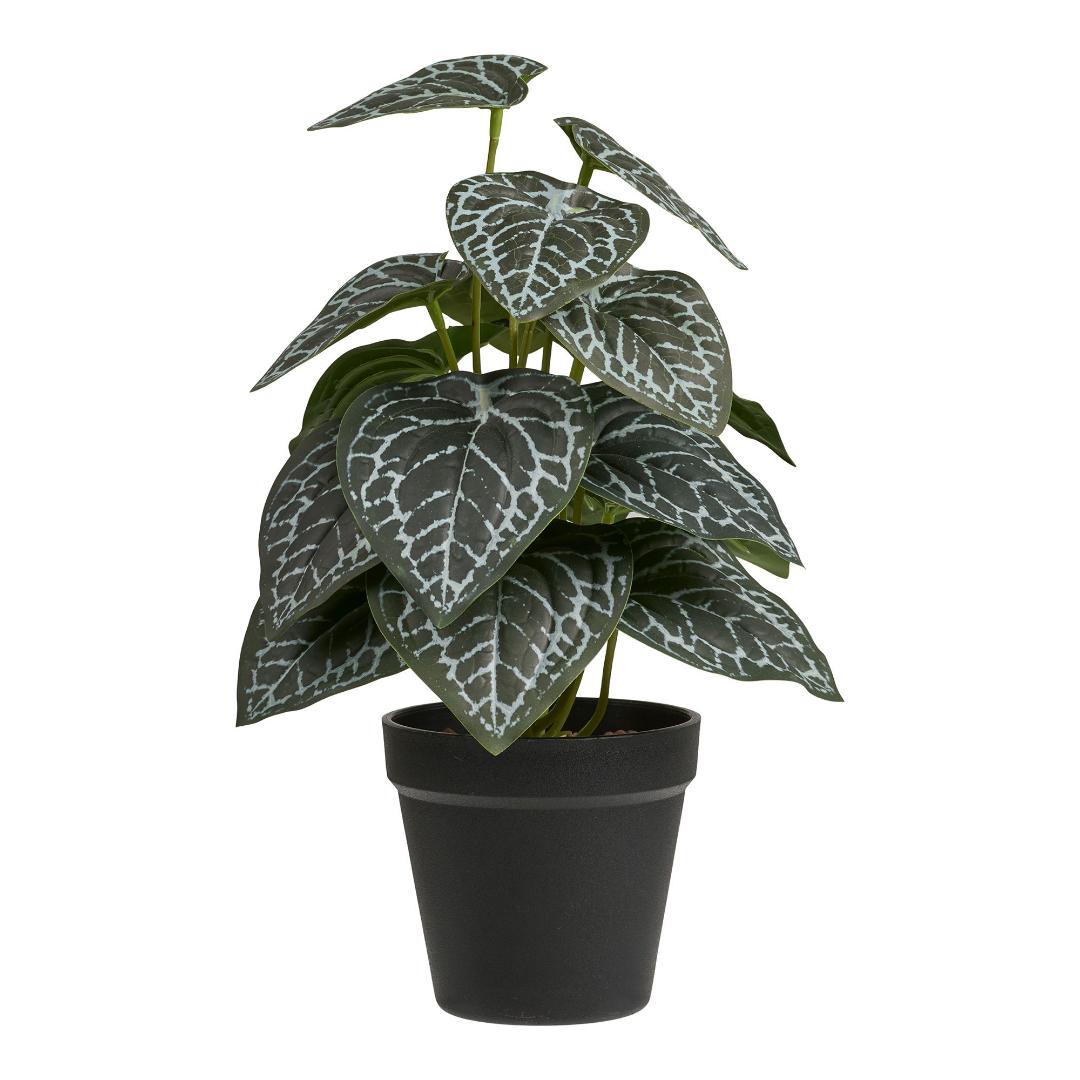 Alocasia kunstig plante højde 33cm grøn