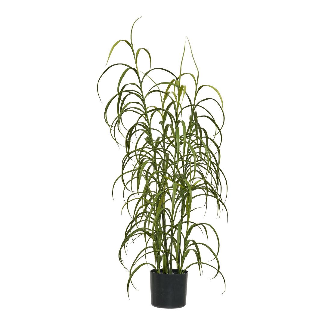 Gro kunstig plante grøn